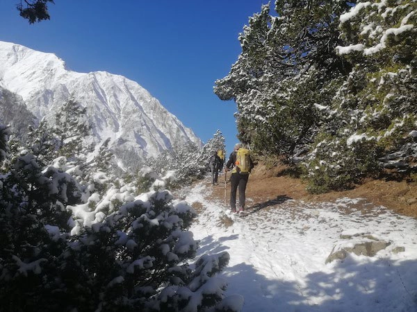 Top Trails